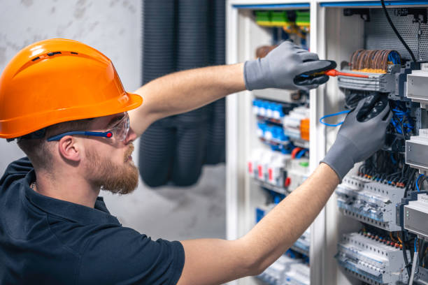 Best Electric Panel Repair  in Lake St Louis, MO